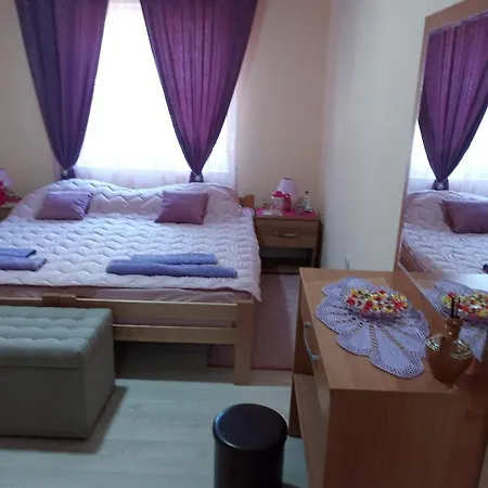 Valja Mare Moma Homestay *