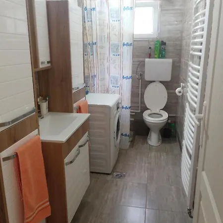 Valja Mare Moma Homestay