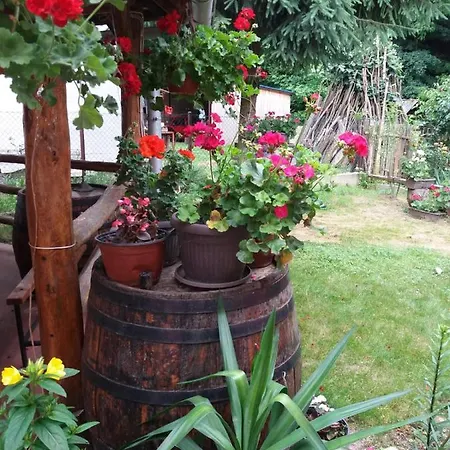 Valja Mare Moma Homestay *