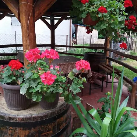 Valja Mare Moma Golubac