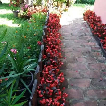 Valja Mare Moma Homestay