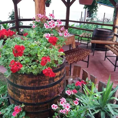 Homestay Valja Mare Moma *