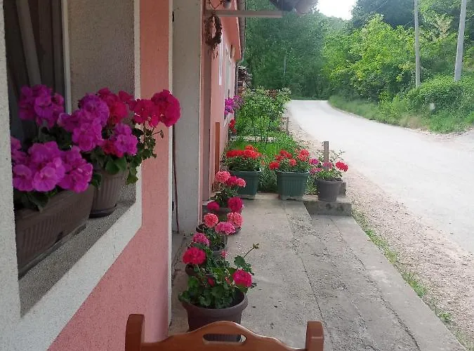 Δωμάτια σε οικογενειακή κατοικία Valja Mare Moma