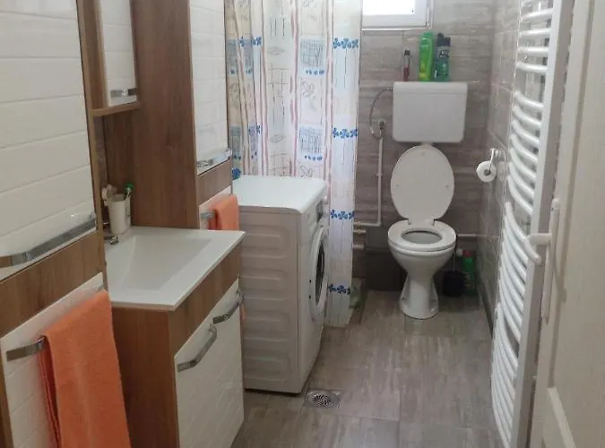 Valja Mare Moma Δωμάτια σε οικογενειακή κατοικία