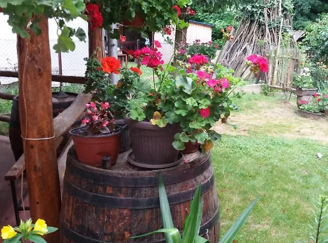 Valja Mare Moma Δωμάτια σε οικογενειακή κατοικία *