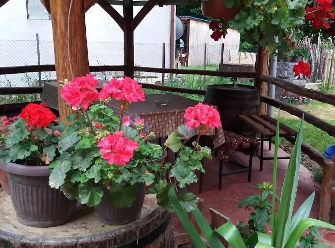 Valja Mare Moma Golubac