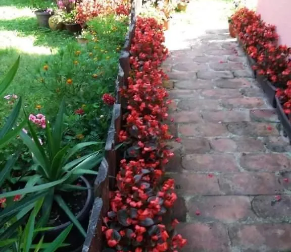 Valja Mare Moma Δωμάτια σε οικογενειακή κατοικία