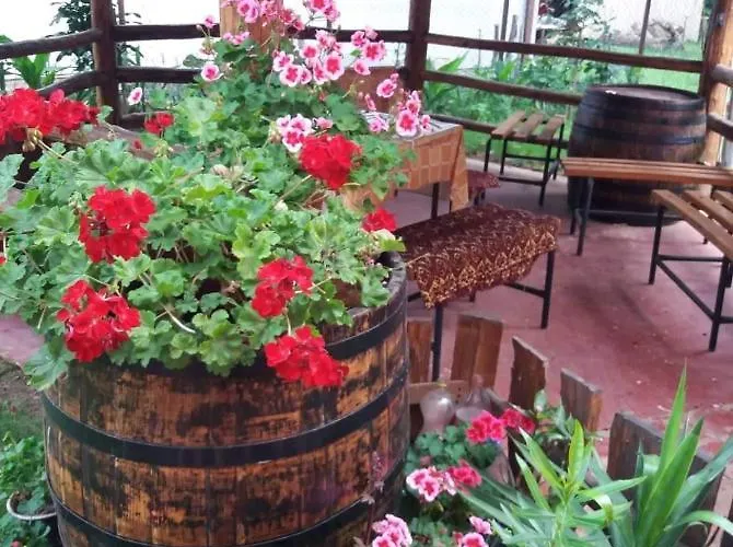 Δωμάτια σε οικογενειακή κατοικία Valja Mare Moma *